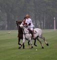 Polo_Art   084